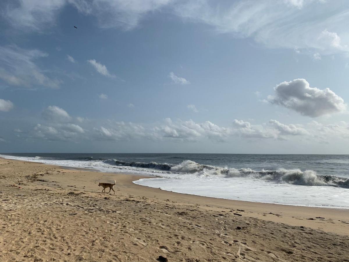מאראריקולם Peacock Villa Marari Beach מראה חיצוני תמונה